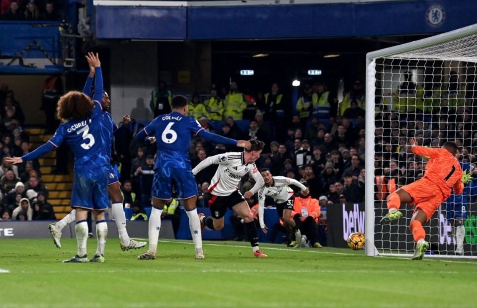 《怪物猎人：荒野》刺花蜘蛛原画 哥特风裙底藏花海