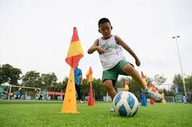 拜仁跟队：凯恩正在全力劝说格伊，希望他能选择加盟拜仁